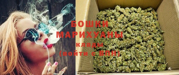 ешки Арсеньев