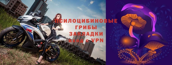 ешки Арсеньев