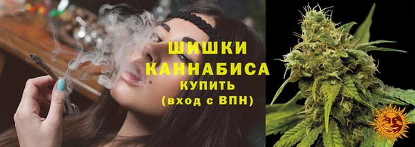 ешки Арсеньев