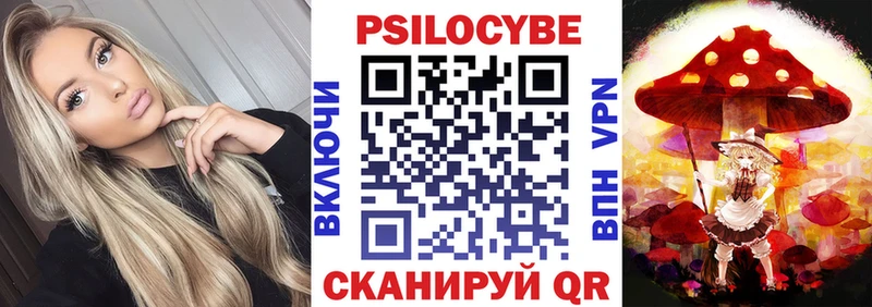 блэк спрут зеркало  Фатеж  Галлюциногенные грибы Psilocybe 